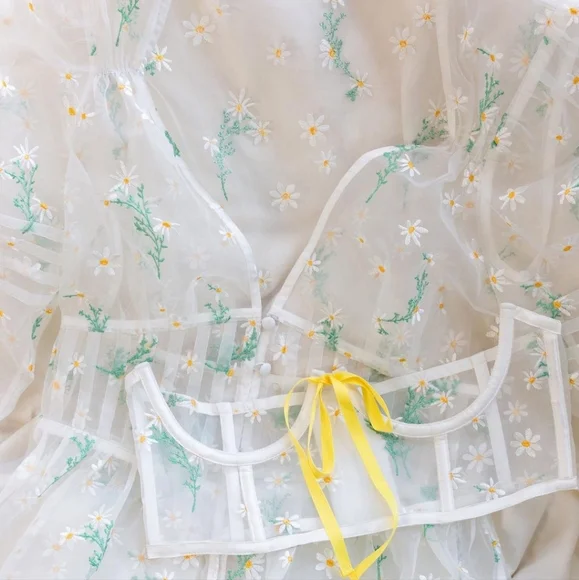 π₯Host Pickπ₯Lia Robe For Love and Lemons for Victoria Secret - Picture 7 of 12